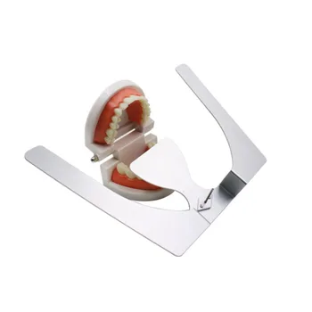Стоматологическая Ортодонтическая 3D Окклюзионная Челюстная пластина для литья верхней челюсти Fox Plane Полный Зубной протез из алюминиевого сплава Трехмерная Челюстная пластина