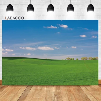 Laeacco Весенние сельские фоны для фотосъемки лугов и пейзажей для взрослых и детей, портретный фон для фотостудии