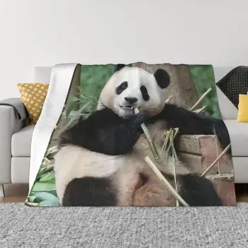 Одеяло Fubao Aibao Panda Fu Bao, мягкие плюшевые декоративные покрывала для длительного путешествия